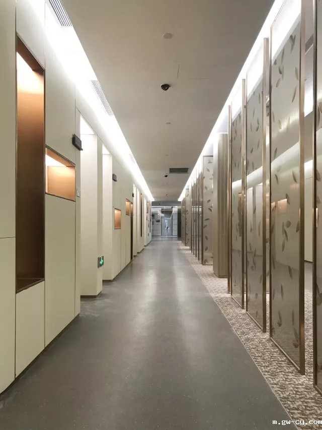 姜峰|betway开户网站医养设计作品-新元素国际医疗中心