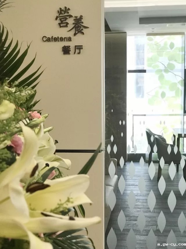 姜峰|betway开户网站医养设计作品-新元素国际医疗中心