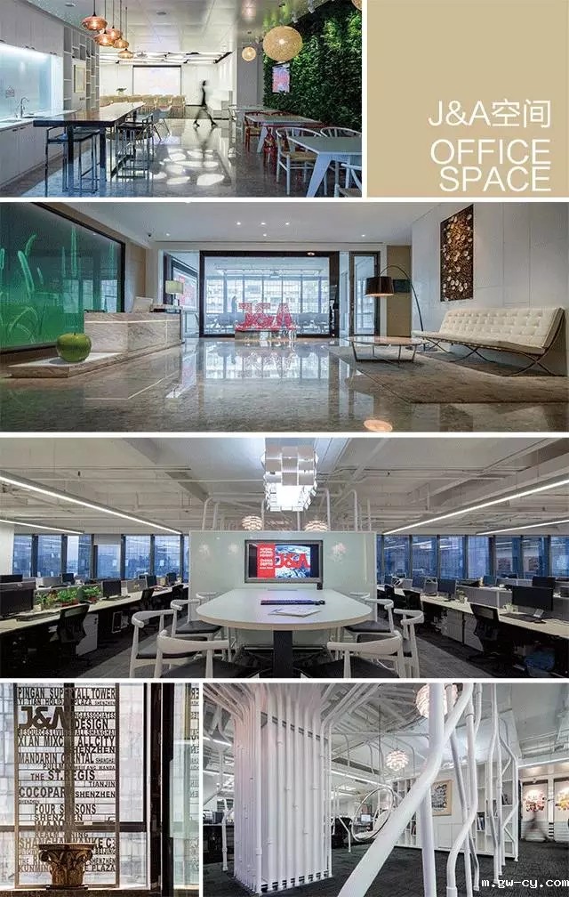 J&Abetway开户网站