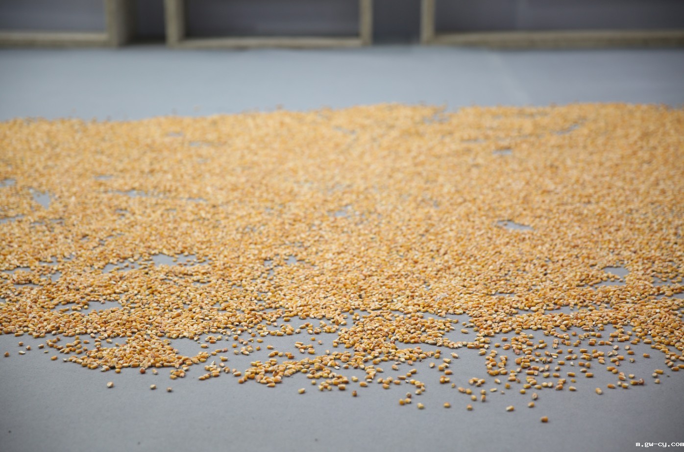 J&A innovation and environmental protection exhibition appeared in Beijing